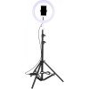 Ring Light QX-260 με Τρίποδο και Βάση για Κινητό 10'' - Χρώμα: Μαύρο