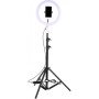 Ring Light QX-260 με Τρίποδο και Βάση για Κινητό 10'' - Χρώμα: Μαύρο